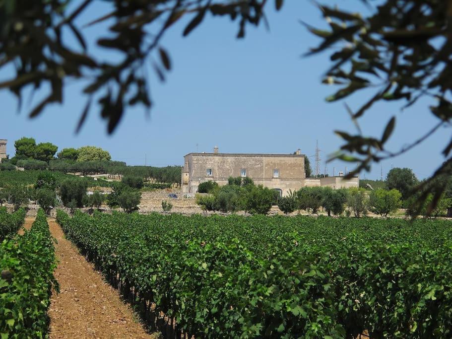 Villa Masseria Angiulli Piccolo Contrada Angiulli 74023 Grottaglie Villa Castelli Exterior foto